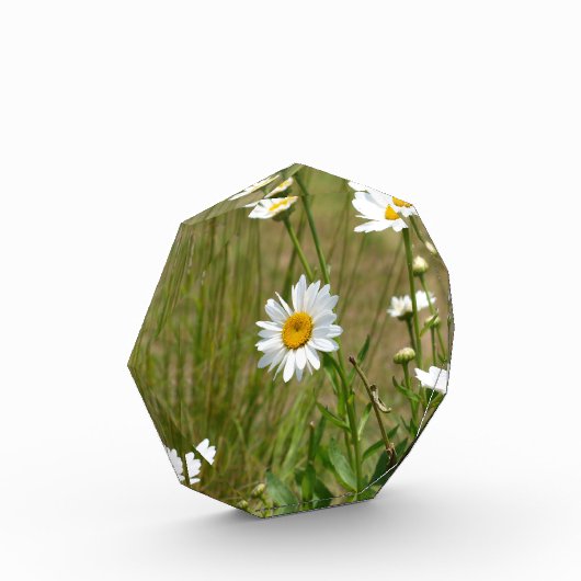 Octagonaal  fotoblokken (Links)