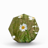 Octagonaal  fotoblokken (Voorkant)