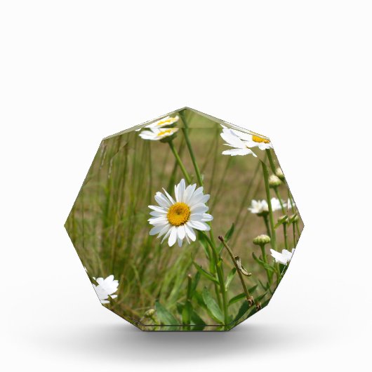 Octagonaal fotoblokken (Voorkant)