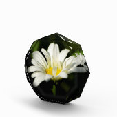 Octagonale fotoblok-Sjabloon Fotoblokken (Rechts)