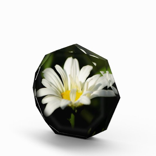 Octagonale fotoblok-Sjabloon Fotoblokken (Rechts)