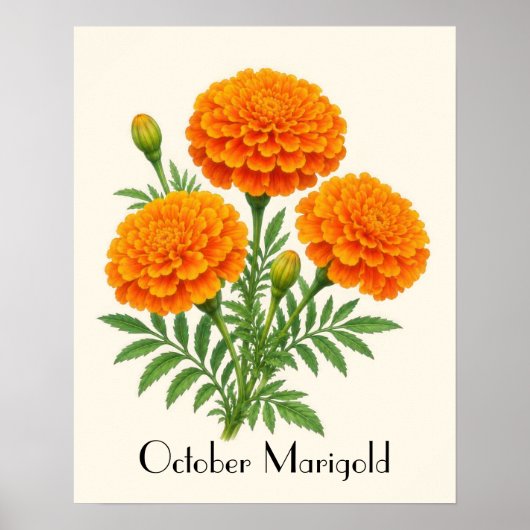 October Fluitjes Bloemen Poster (Voorkant)