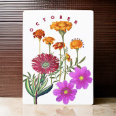October Maand Bloemen Fluitenkruid & Cosmos | Briefkaart
