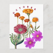 October Maand Bloemen Fluitenkruid & Cosmos | Briefkaart (Voorkant)