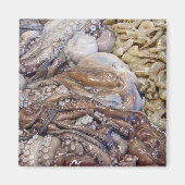 Octopi Magneet (Voorkant)