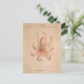 Octopus 1851 Eledon Aldrovandi Briefkaart (Staand voorkant)