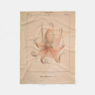 Octopus 1851 Eledon Aldrovandi Fleece Deken