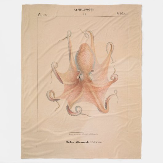 Octopus 1851 Eledon Aldrovandi Fleece Deken (Voorkant)