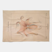 Octopus 1851 Eledon Aldrovandi Theedoek (Horizontaal)