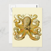Octopus antiek illustratie zee monster briefkaart (Voorkant / Achterkant)