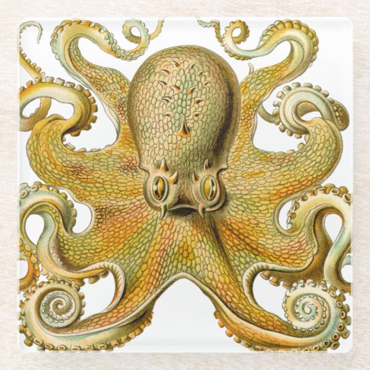Octopus antiek illustratie zee monster glazen onderzetter (Voorkant)