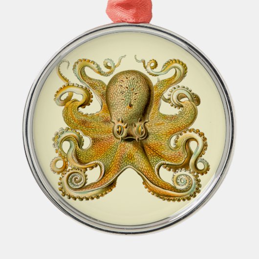 Octopus antiek illustratie zee monster metalen ornament (Voorkant)