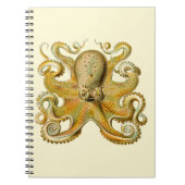 Octopus antiek illustratie zee monster notitieboek (Voorkant)