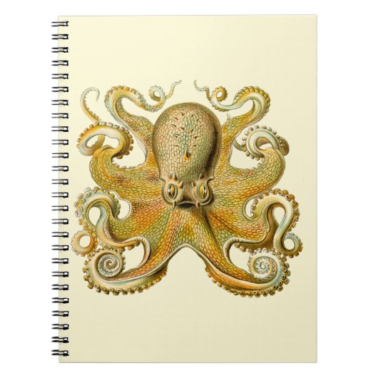 Octopus antiek illustratie zee monster notitieboek (Voorkant)