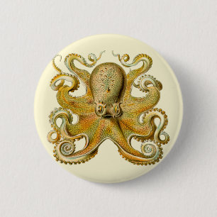 Octopus antiek illustratie zee monster ronde button 5,7 cm