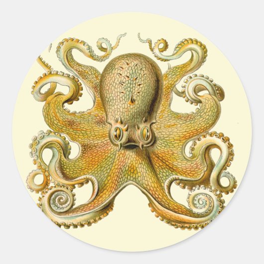 Octopus antiek illustratie zee monster ronde sticker (Voorkant)