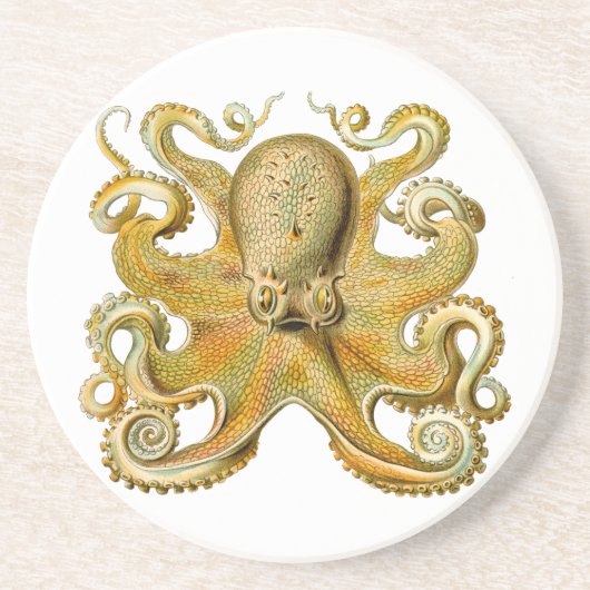 Octopus antiek illustratie zee monster zandsteen onderzetter (Voorkant)