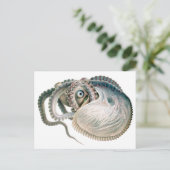 octopus argonaut, zeedieren briefkaart (Staand voorkant)