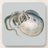  octopus argonaut, zeedieren drankjes onderzetter (Voorkant)