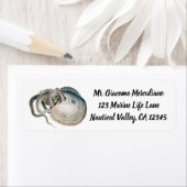  octopus argonaut, zeedieren etiket (Insitu)