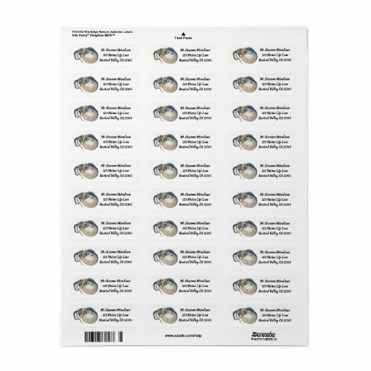  octopus argonaut, zeedieren etiket (Full Sheet)