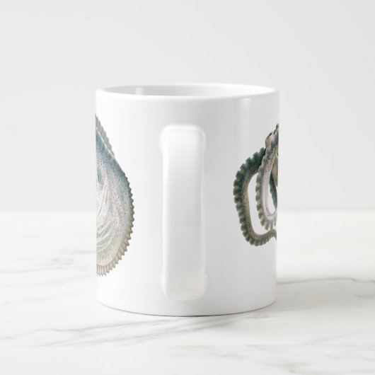 octopus argonaut, zeedieren grote koffiekop (Achterkant)