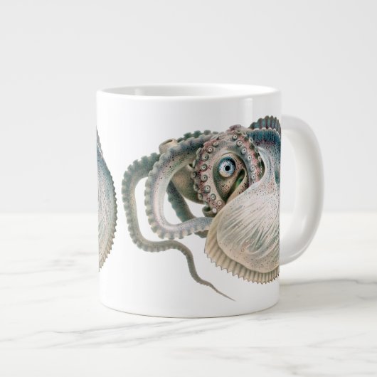 octopus argonaut, zeedieren grote koffiekop (Voorkant rechts)