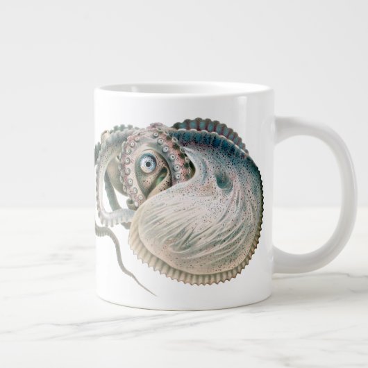  octopus argonaut, zeedieren grote koffiekop (Rechts)