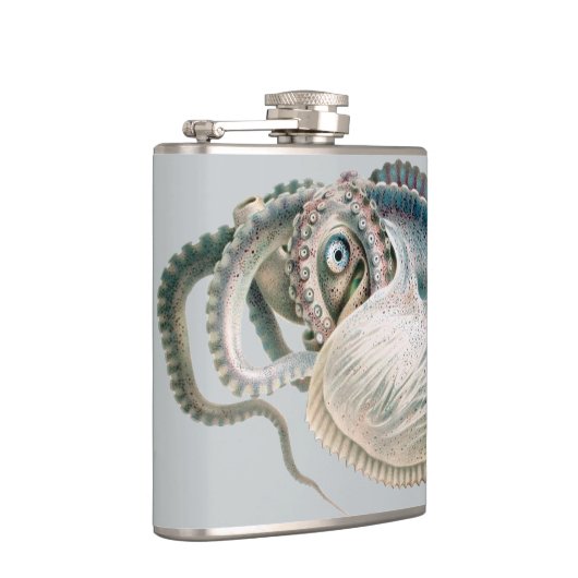  octopus argonaut, zeedieren heupfles (Rechts)