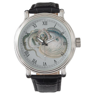  octopus argonaut, zeedieren horloge