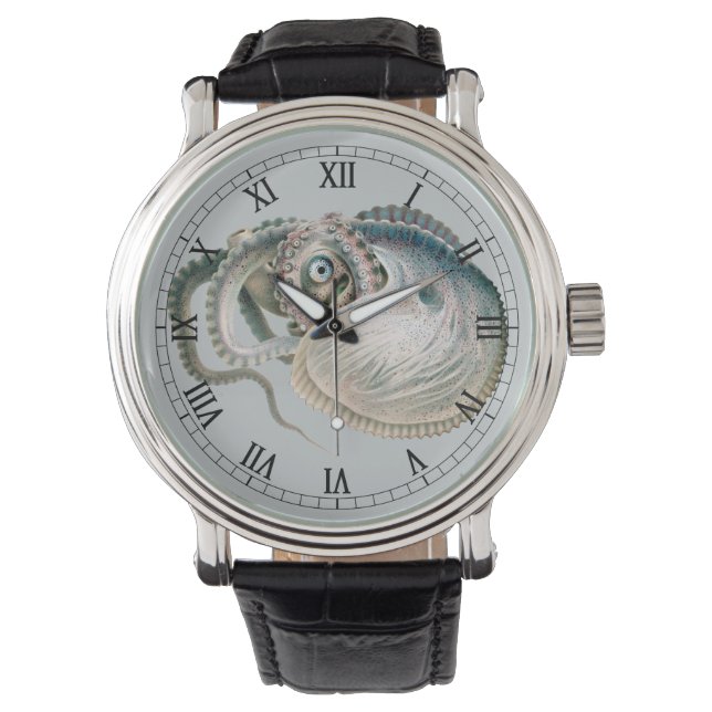  octopus argonaut, zeedieren horloge (Voorkant)