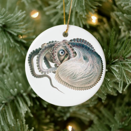  octopus argonaut, zeedieren keramisch ornament (Boom)