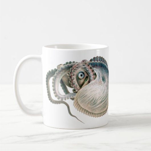  octopus argonaut, zeedieren koffiemok (Links)