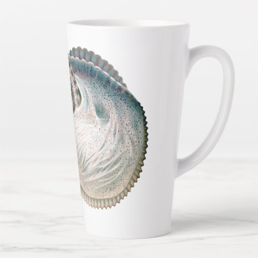 octopus argonaut, zeedieren latte mok (Rechts)