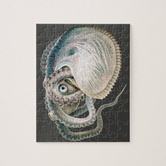  octopus argonaut, zeedieren legpuzzel (Verticaal)