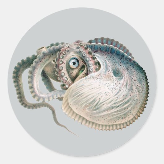 octopus argonaut, zeedieren ronde sticker (Voorkant)