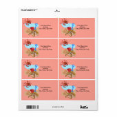 Octopus Beach Crab Labels (Full Sheet)