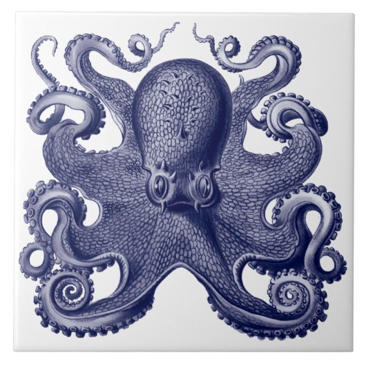 Octopus Blauw & Wit Tegeltje (Voorkant)