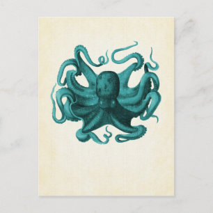 octopus briefkaart