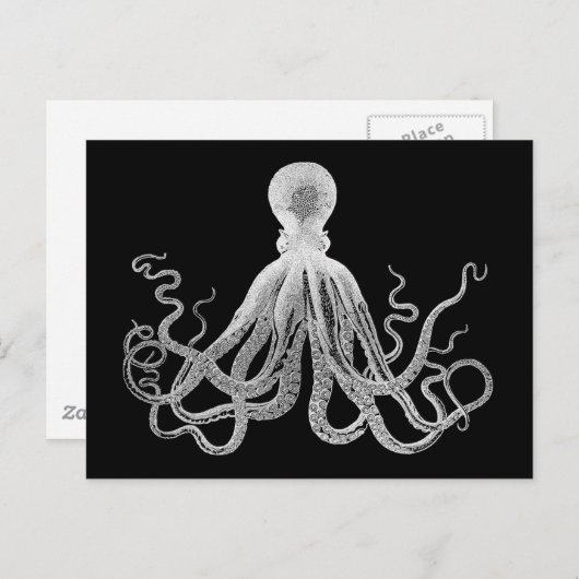  octopus briefkaart (Voorkant / Achterkant)
