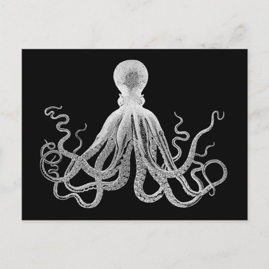  octopus briefkaart (Voorkant)