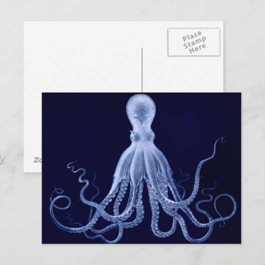 Octopus Briefkaart (Voorkant / Achterkant)