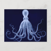Octopus Briefkaart (Voorkant)