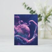 Octopus Briefkaart (Staand voorkant)