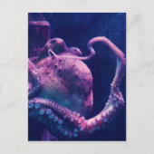 Octopus Briefkaart (Voorkant)