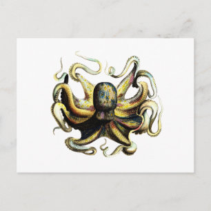 Octopus Briefkaart