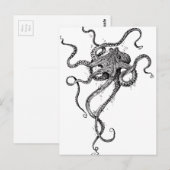 Octopus Briefkaart (Voorkant / Achterkant)
