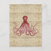 octopus briefkaart (Voorkant)