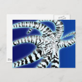 Octopus Briefkaart (Voorkant / Achterkant)