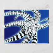 Octopus Briefkaart (Voorkant)